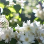 blumige leichtigkeit im parfum