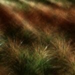 erdige eleganz der natur