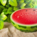 wassermelonen sommerduft f r alltag